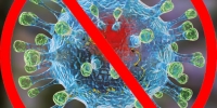 В связи с предупреждением распространения коронавирусной инфекции (COVID-19)